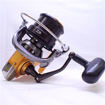 １４キャスティズム２５ＱＤ